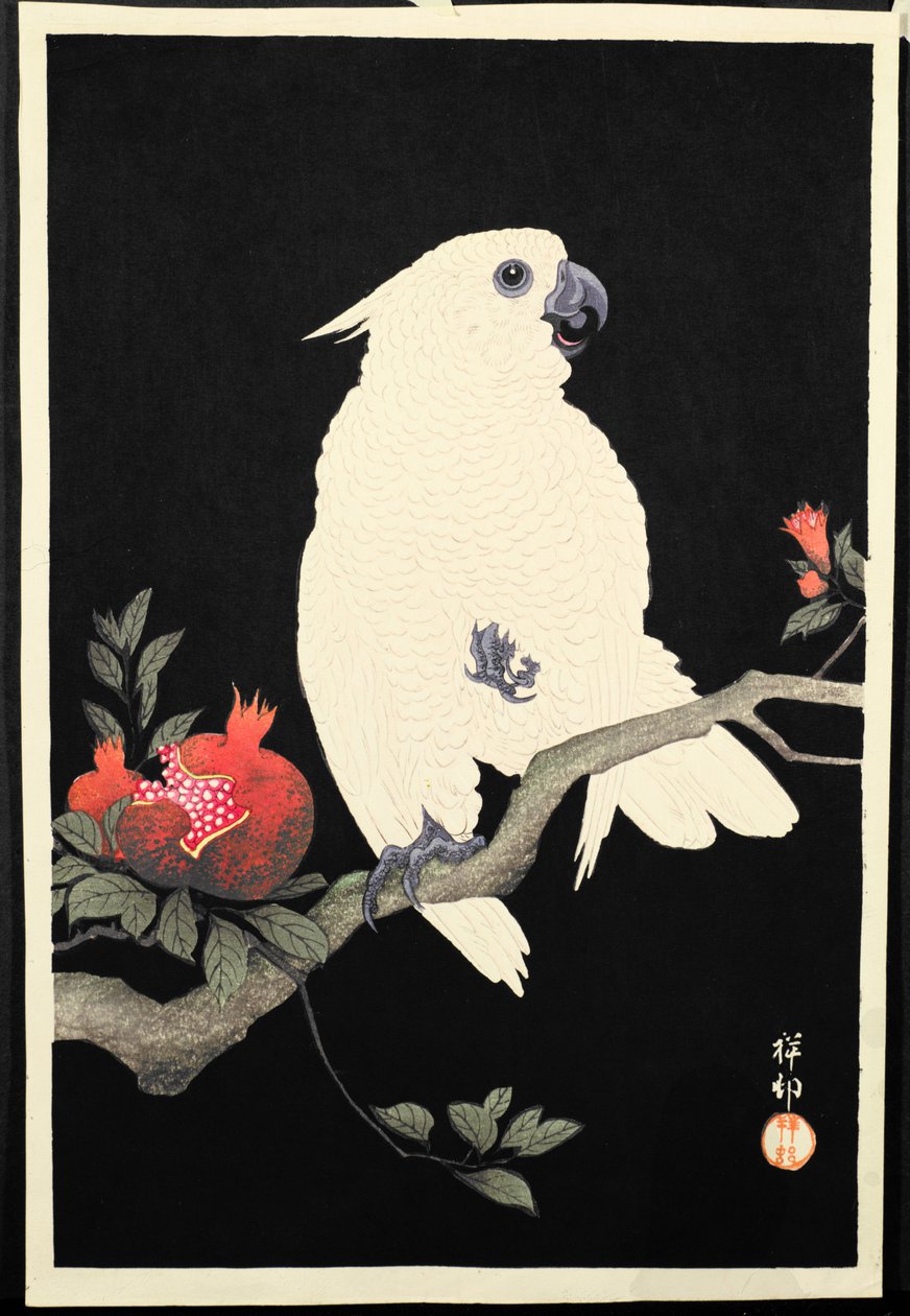 Kakadu und Granatapfel von Ohara Koson