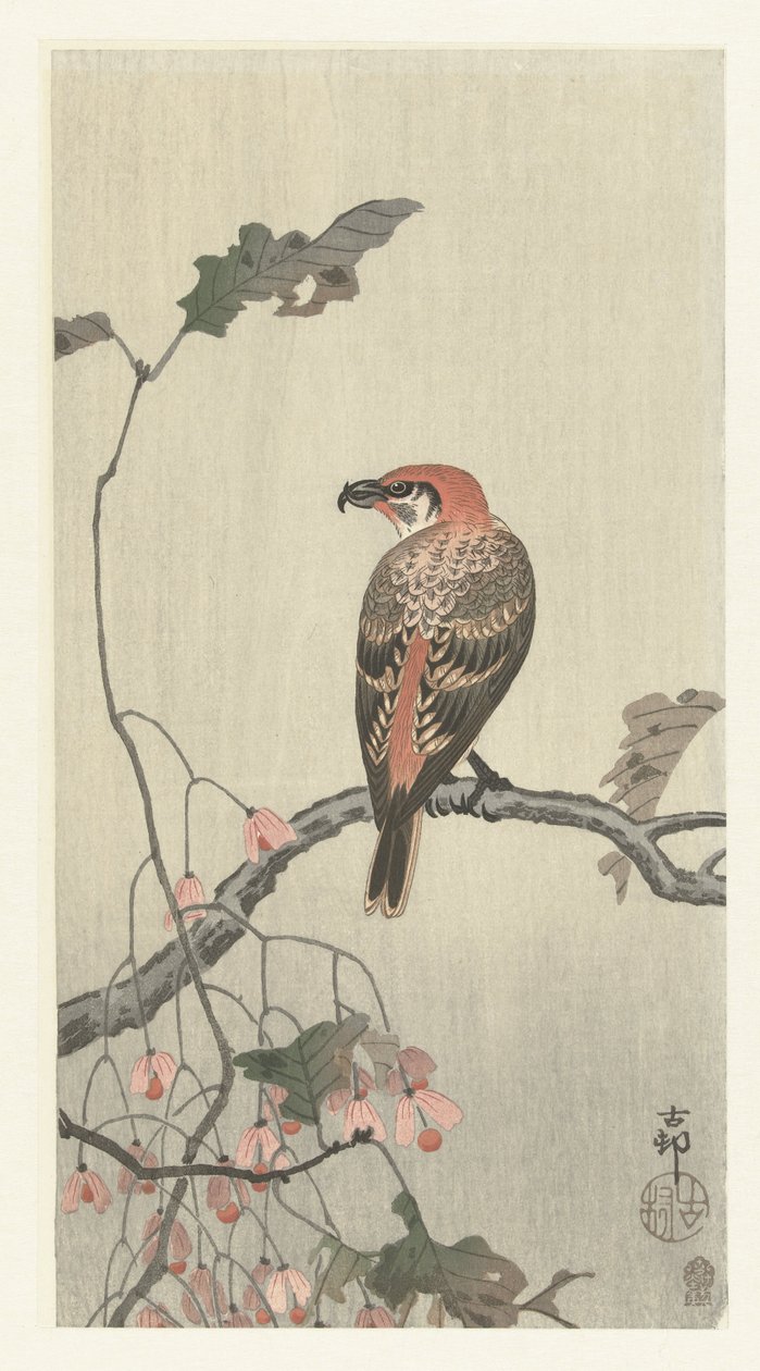 Kreuzschnabel auf einem Ast von Ohara Koson