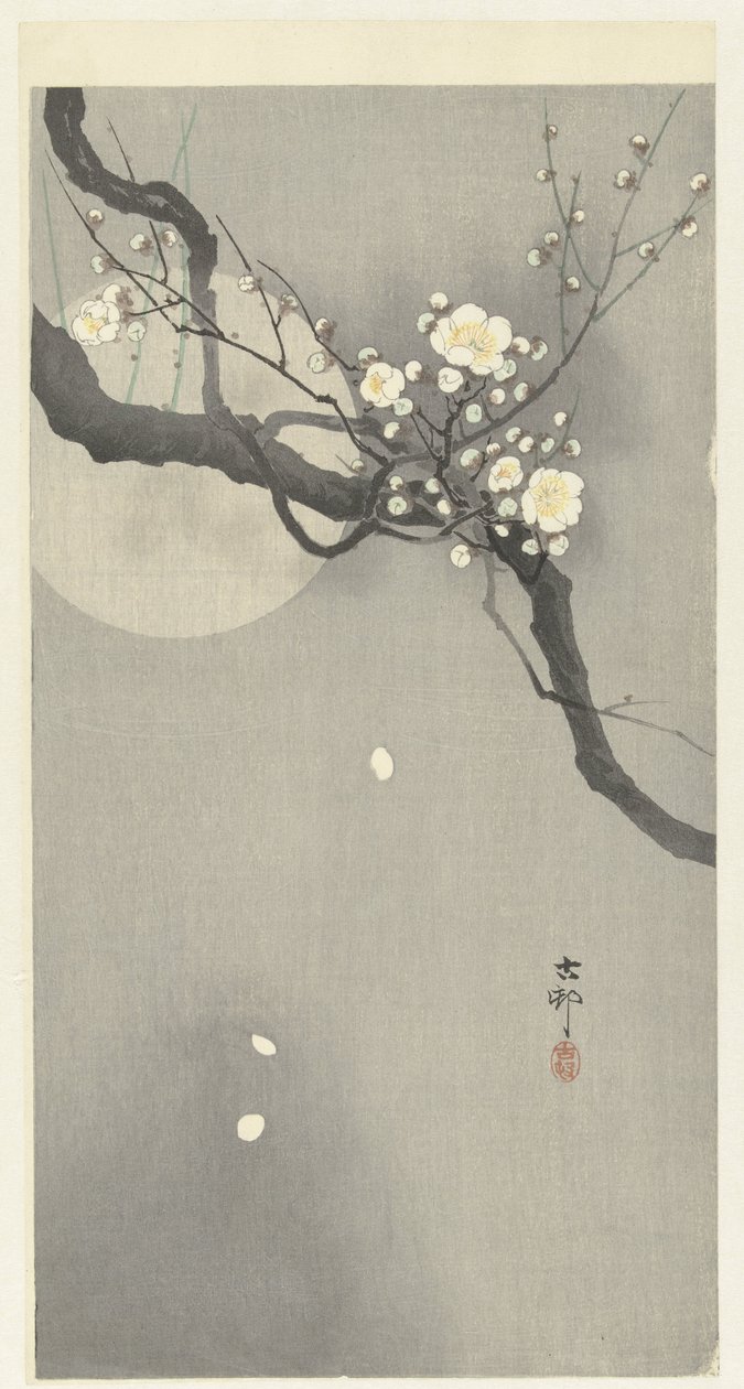 Pflaumenblüte und Vollmond von Ohara Koson