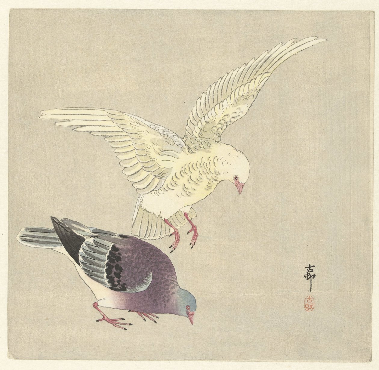 Zwei Tauben von Ohara Koson