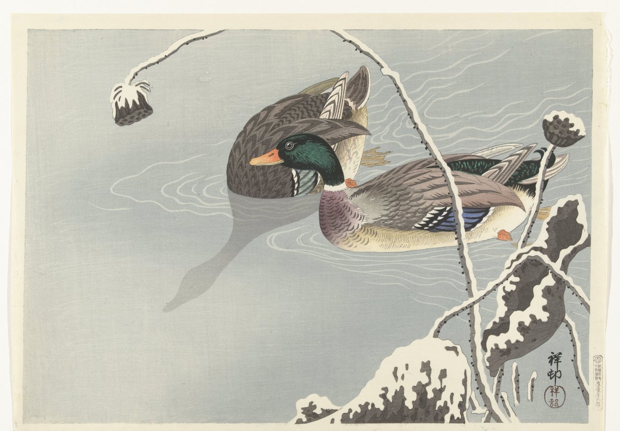 Zwei Stockenten nahe einer schneebedeckten Lotusblume von Ohara Koson