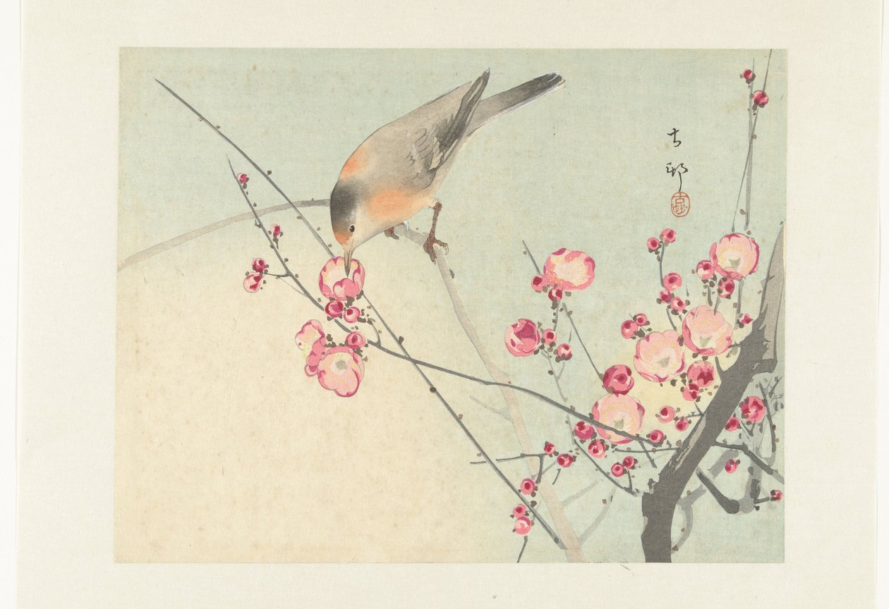 Singvogel auf einem Blütenzweig von Ohara Koson