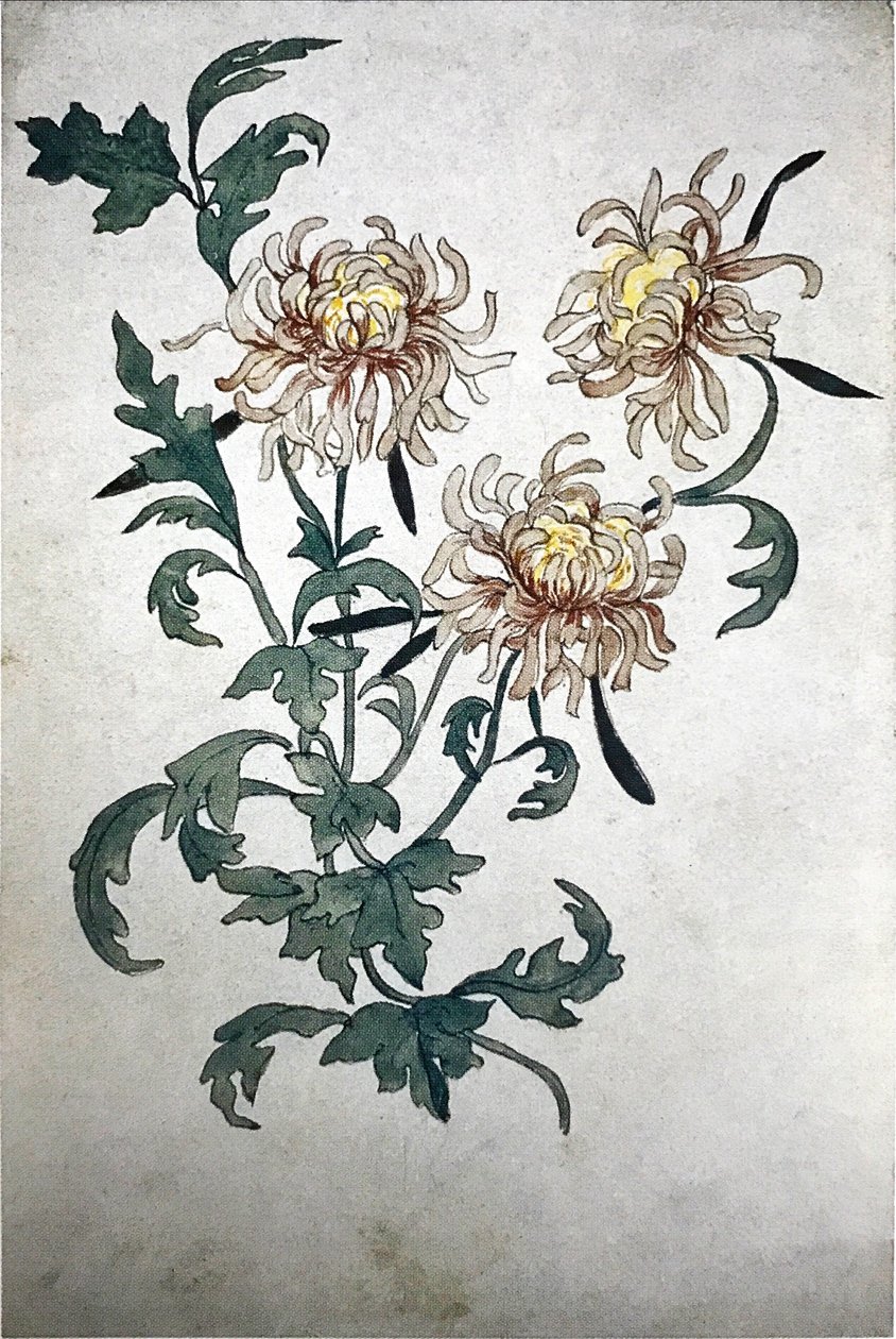 Blumen von Olga Rozanova