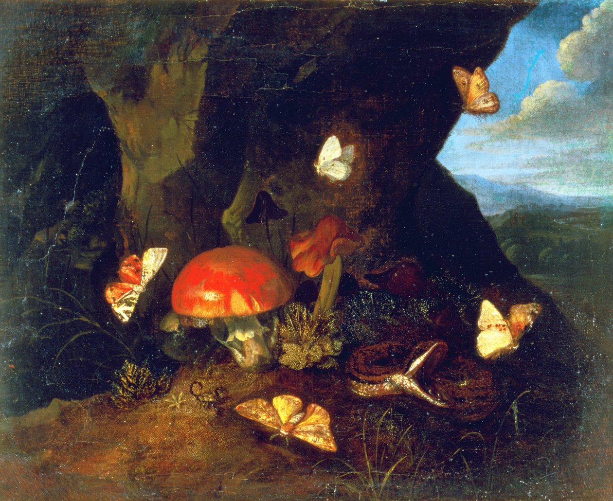 Unterholz und Tierwelt von Otto Marseus  van Schrieck