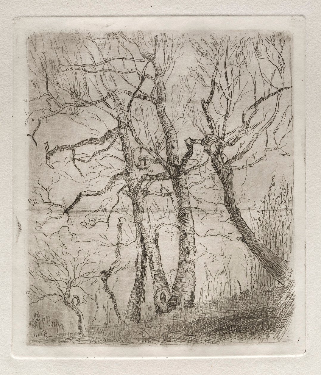 Bäume, 1878 von Otto H. Bacher