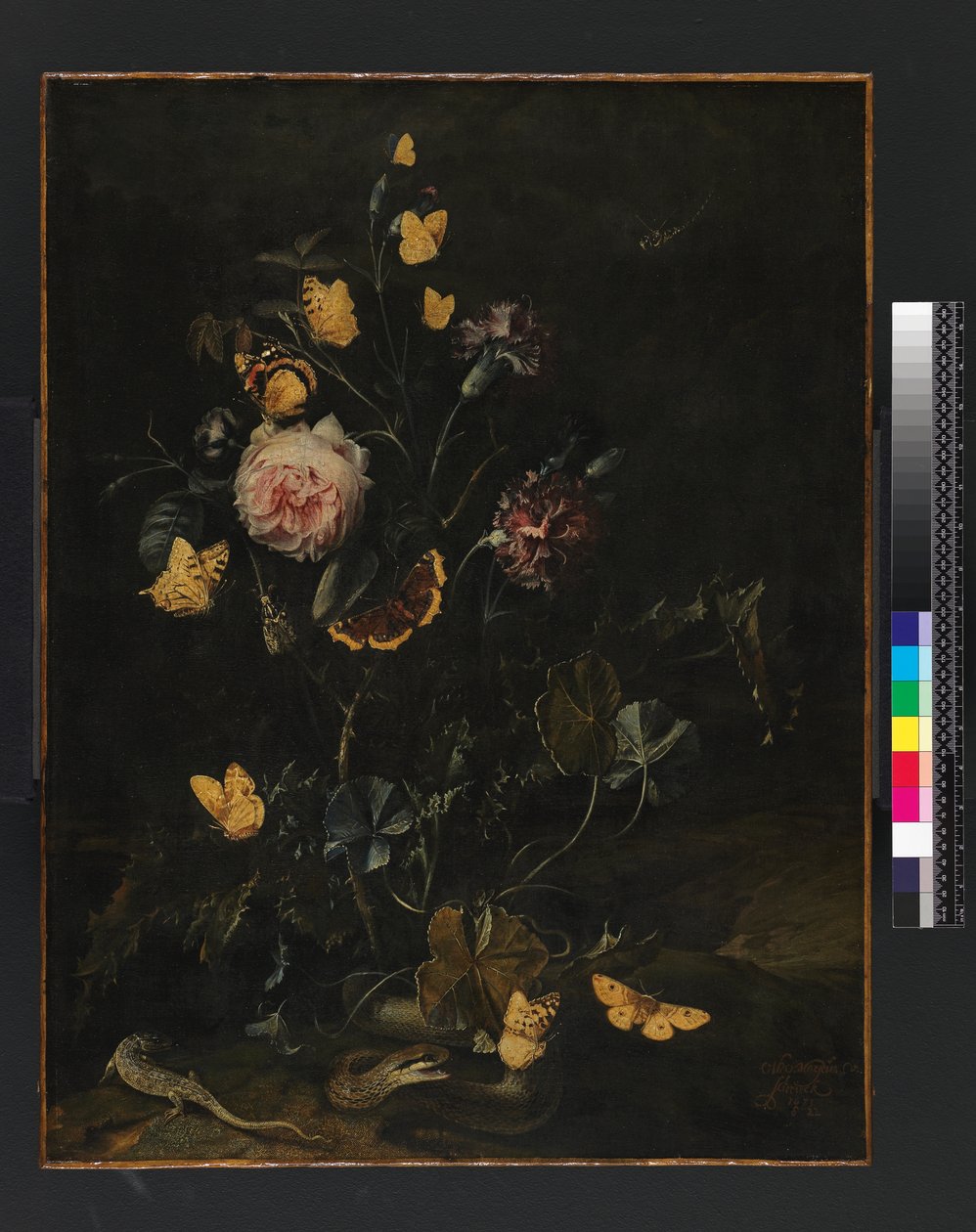 Blumen, Insekten und Reptilien, 1673 von Otto Marseus  van Schrieck