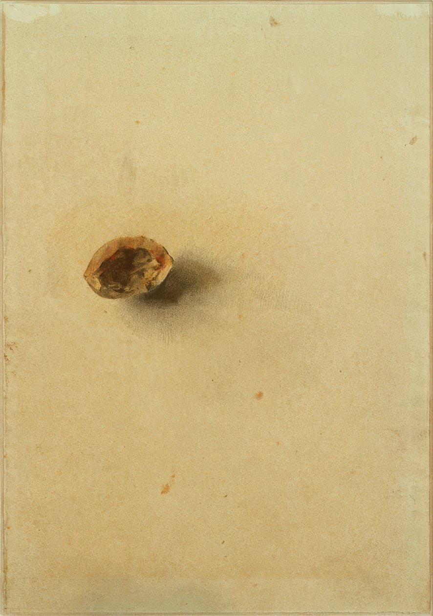 Nussschale von Otto Meyer Amden