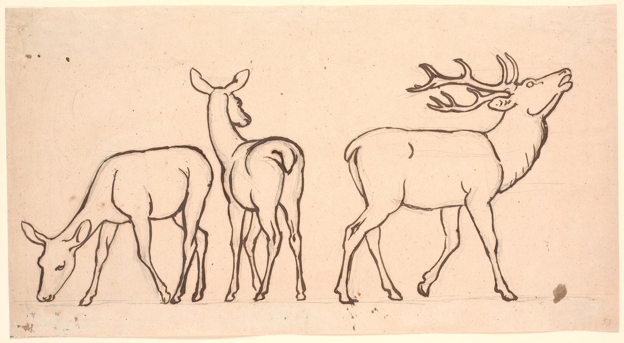 Hirsche und zwei Hirschkühe von P.C. Skovgaard