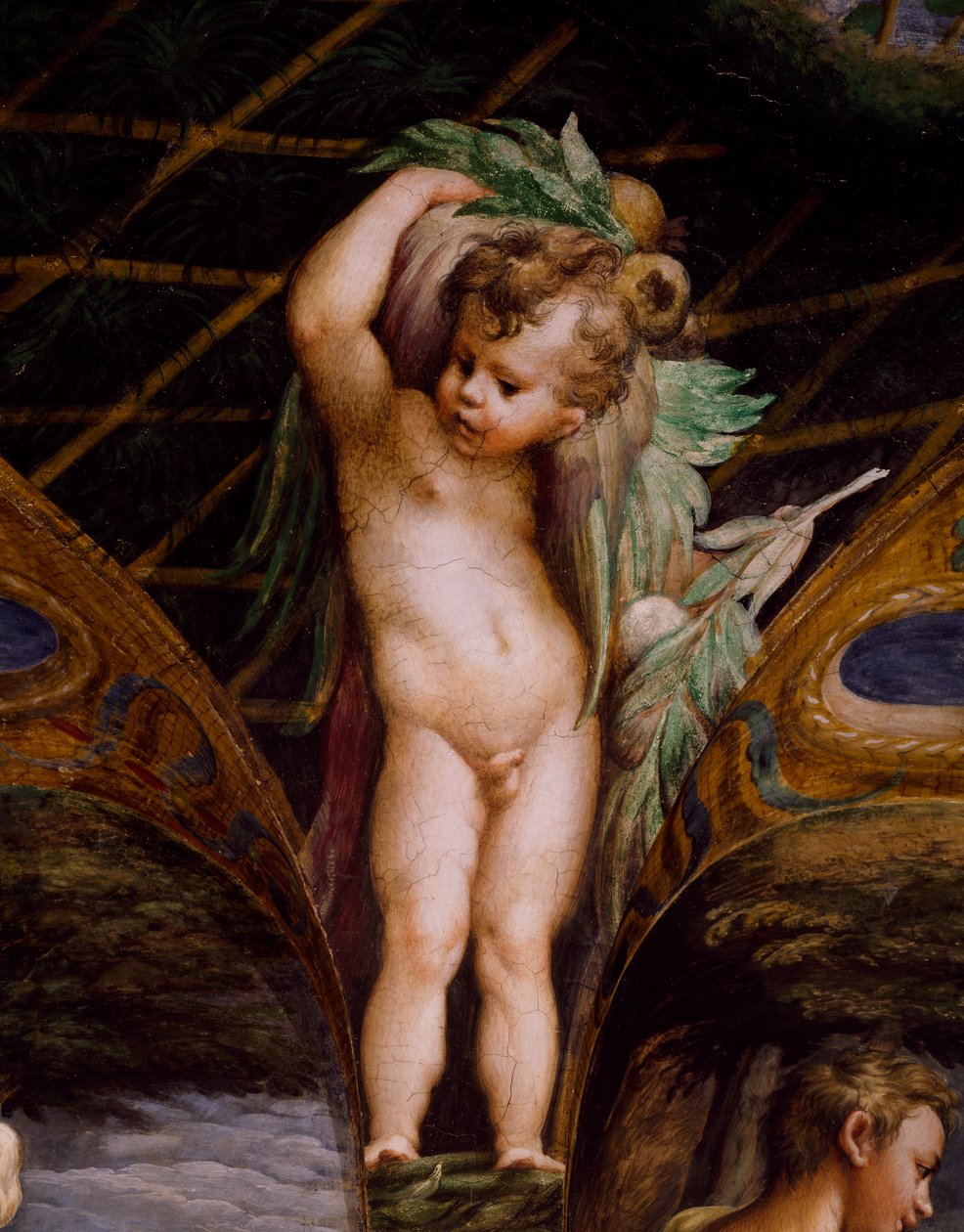 Putto (aus dem Mythos von Diana und Aktäon) von Parmigianino