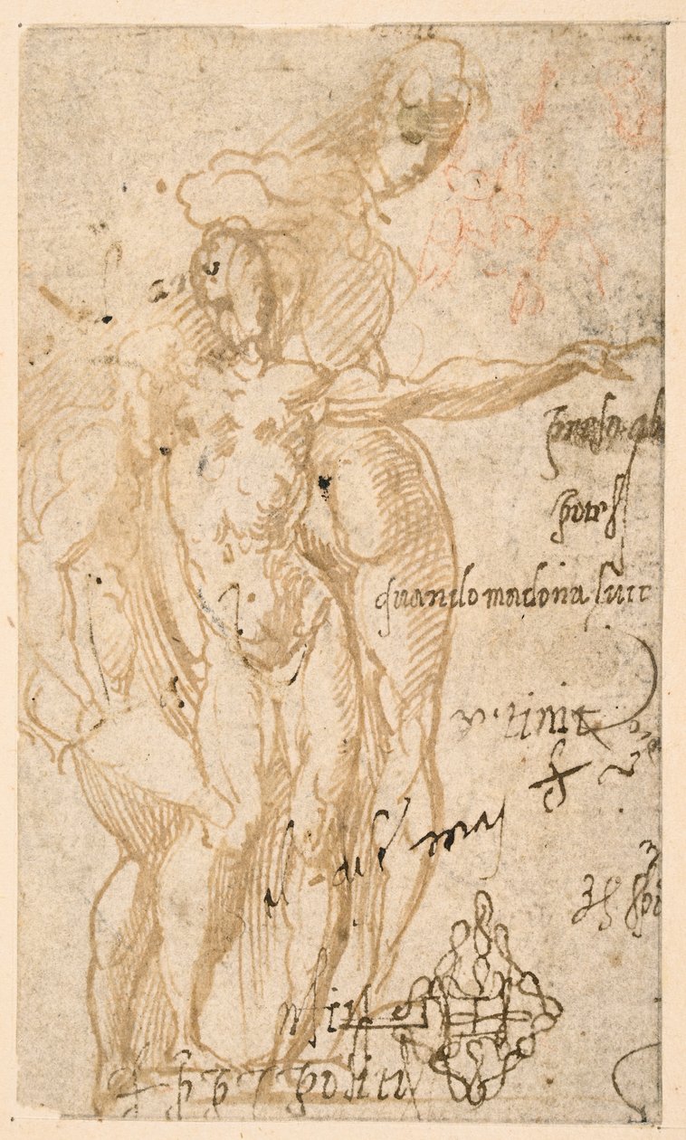 Studie von drei nackten Figuren von Parmigianino