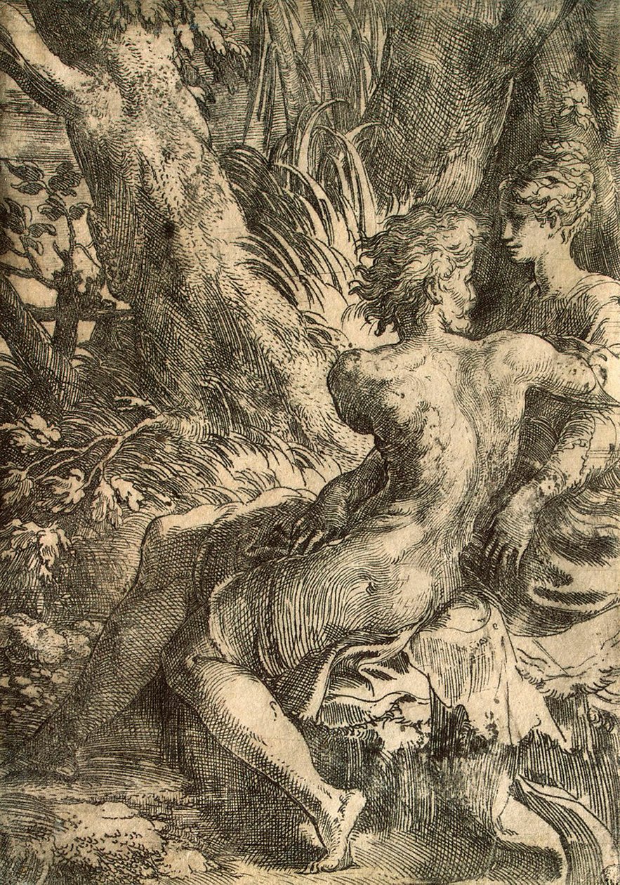 Liebende, ca. 1527 von Parmigianino