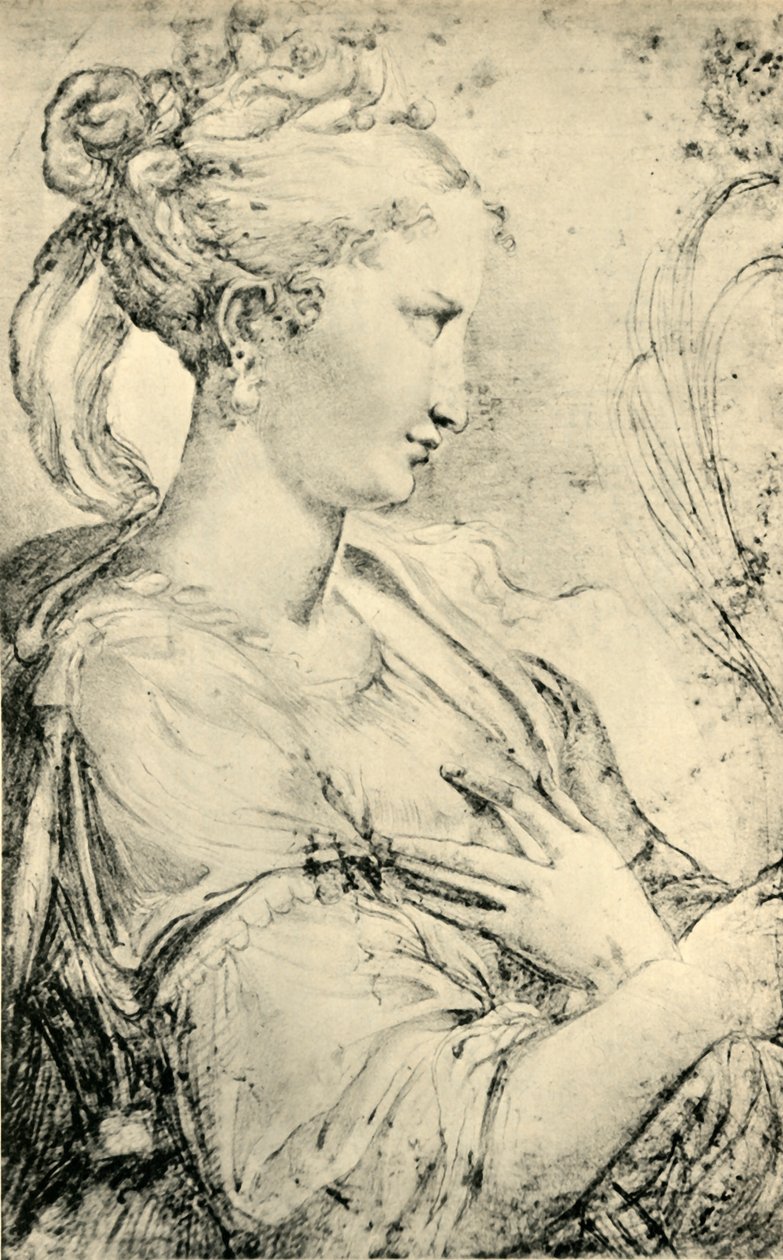 Studie der Heiligen Katharina, ca. 1530-1540, 1943 von Parmigianino