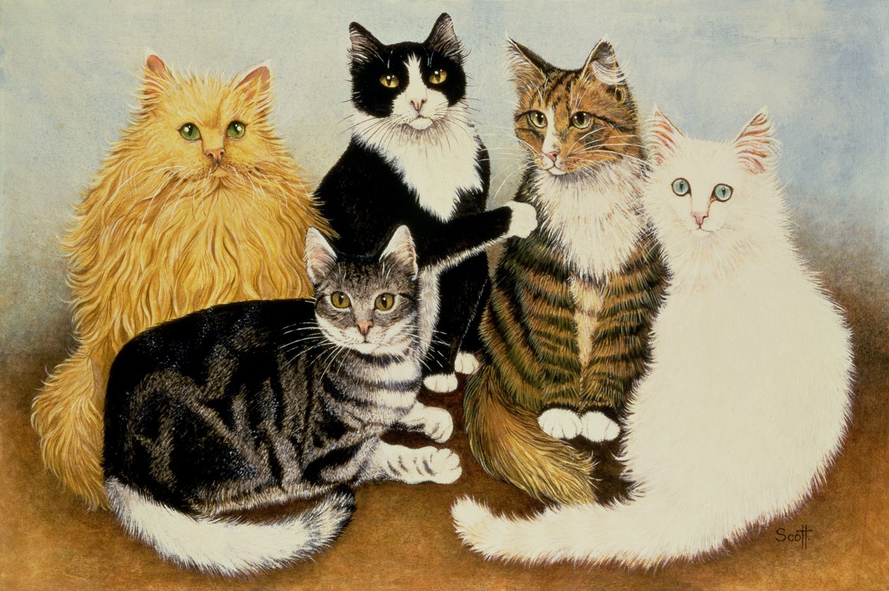 Fadenspiel von Pat Scott