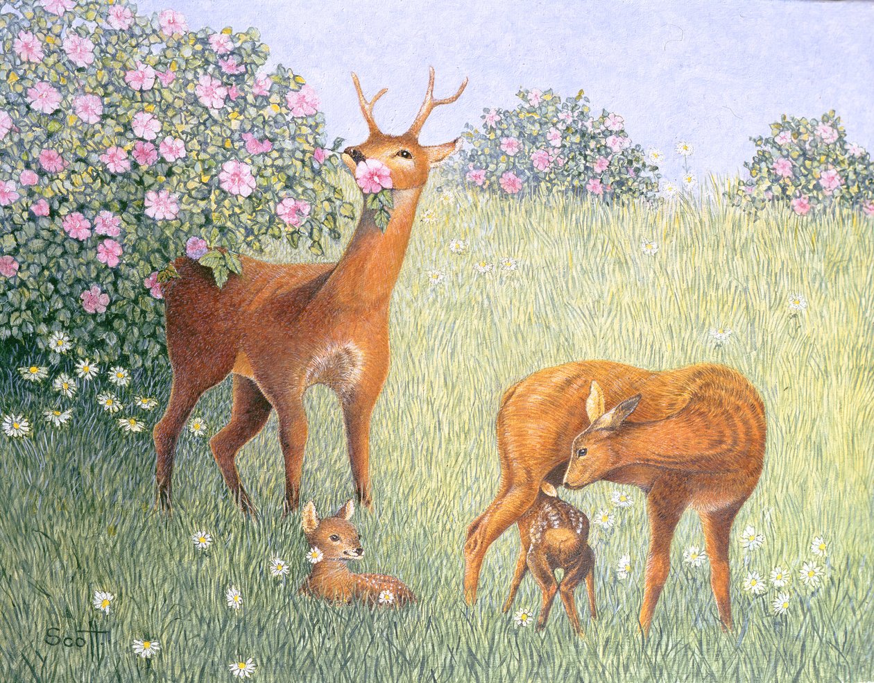 Hirschfamilie von Pat Scott