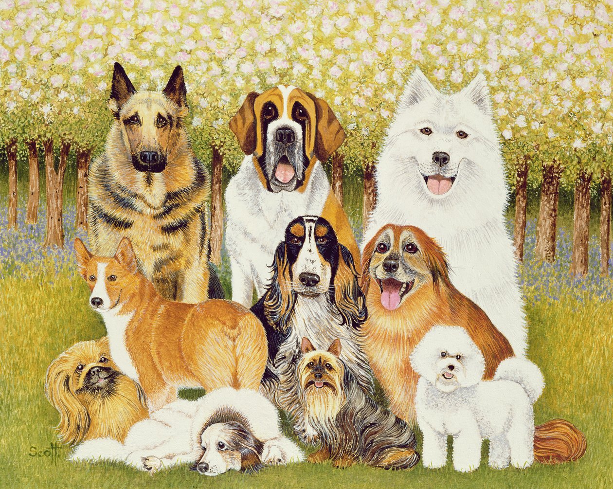 Hunde im Mai von Pat Scott