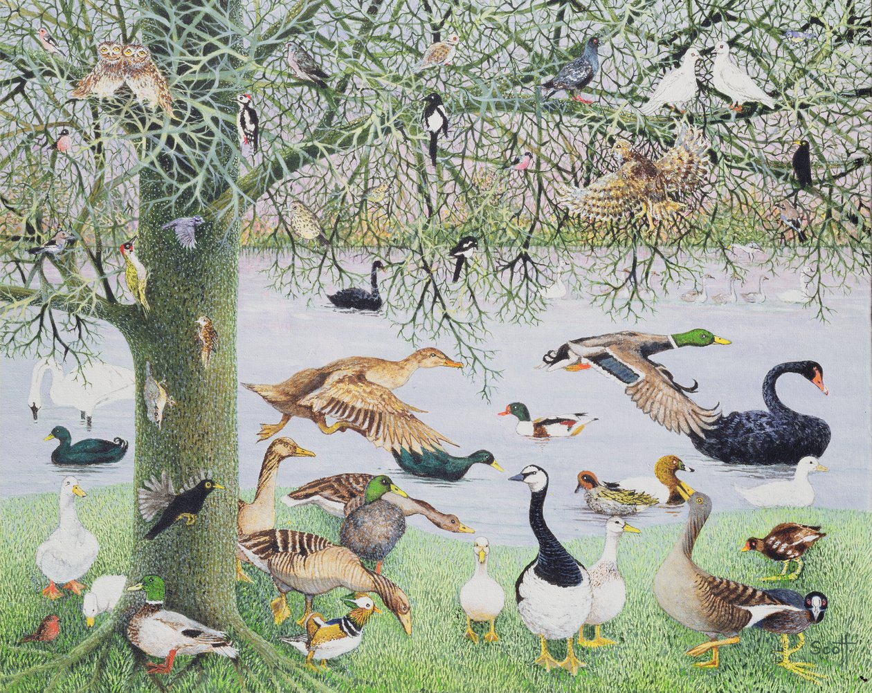 Die seltsame Ente von Pat Scott