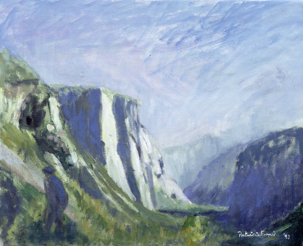 El Capitan, Yosemite-Nationalpark, 1993 von Patricia Espir