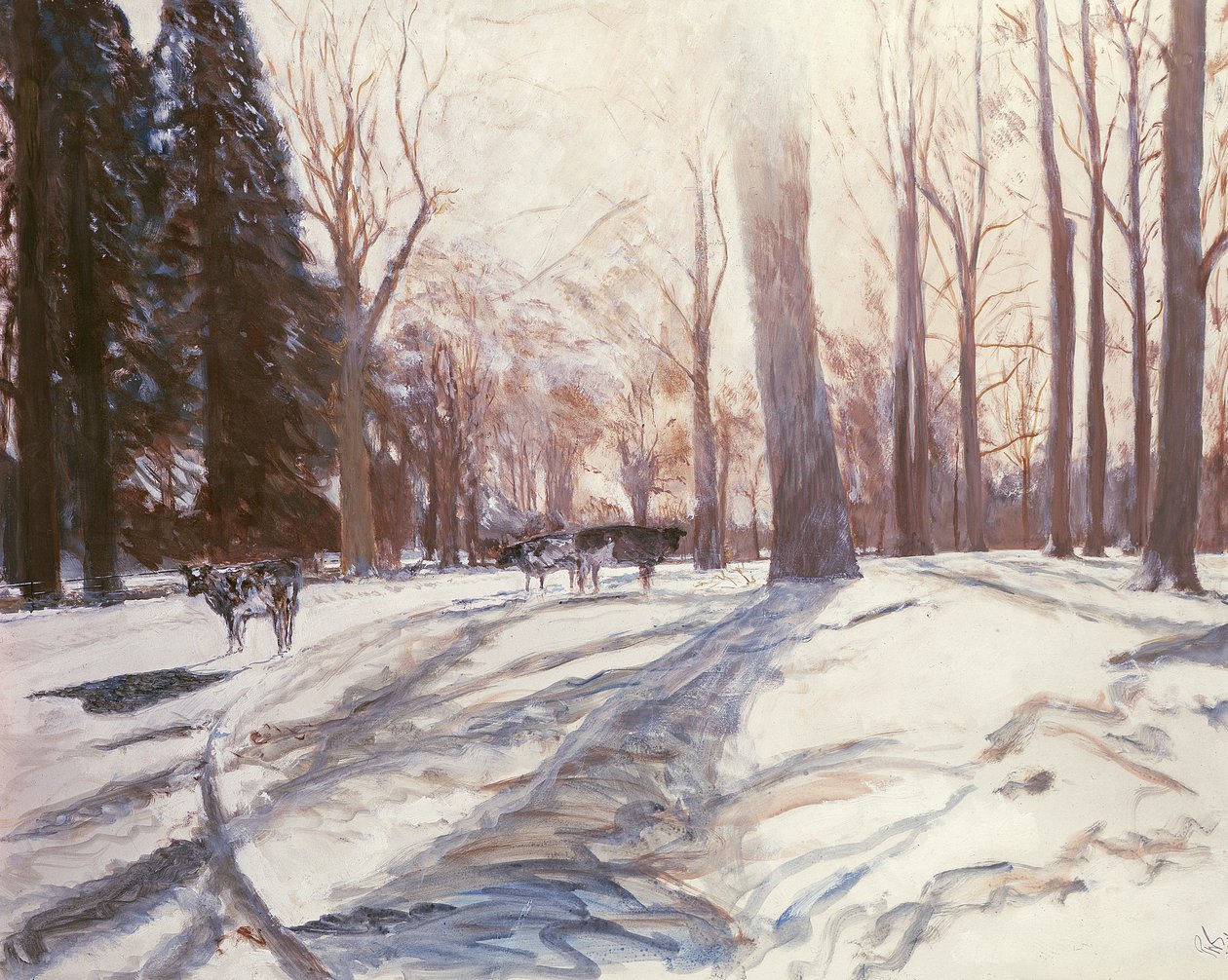 Schnee in Broadlands von Paul Stewart