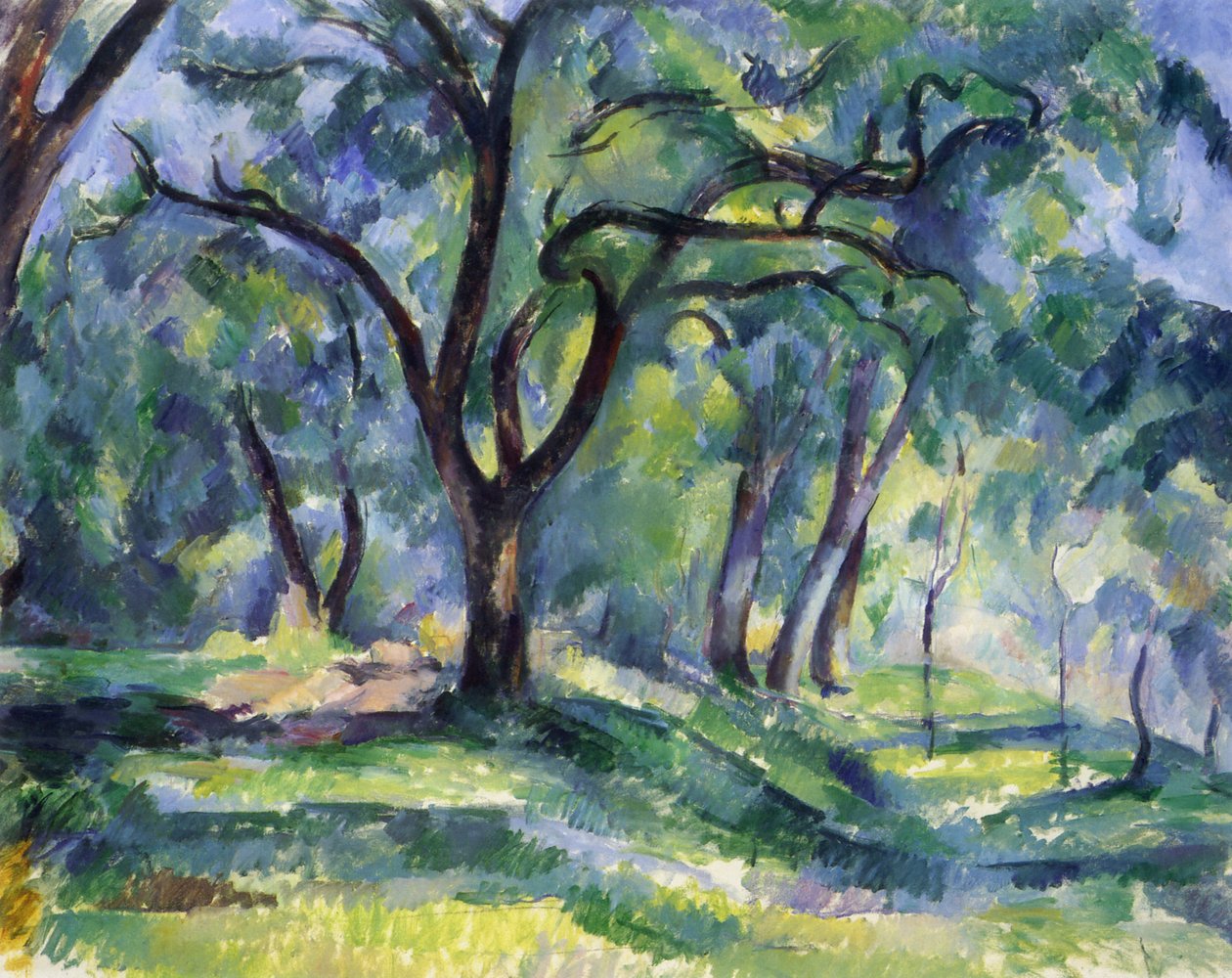 Der Wald von Paul Cézanne