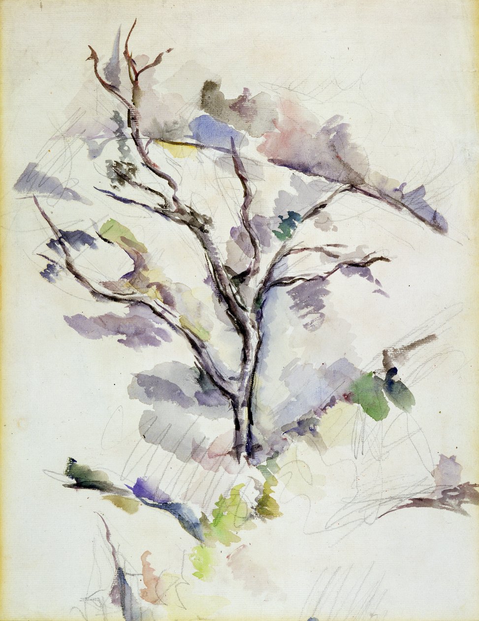 Die Eiche von Paul Cézanne