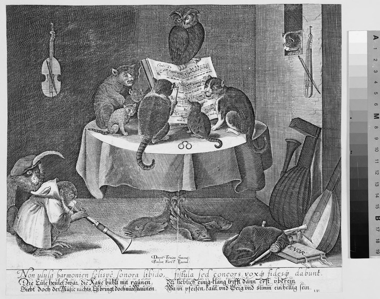 Konzert von Eule, Katzen und Affen von Paul Fürst