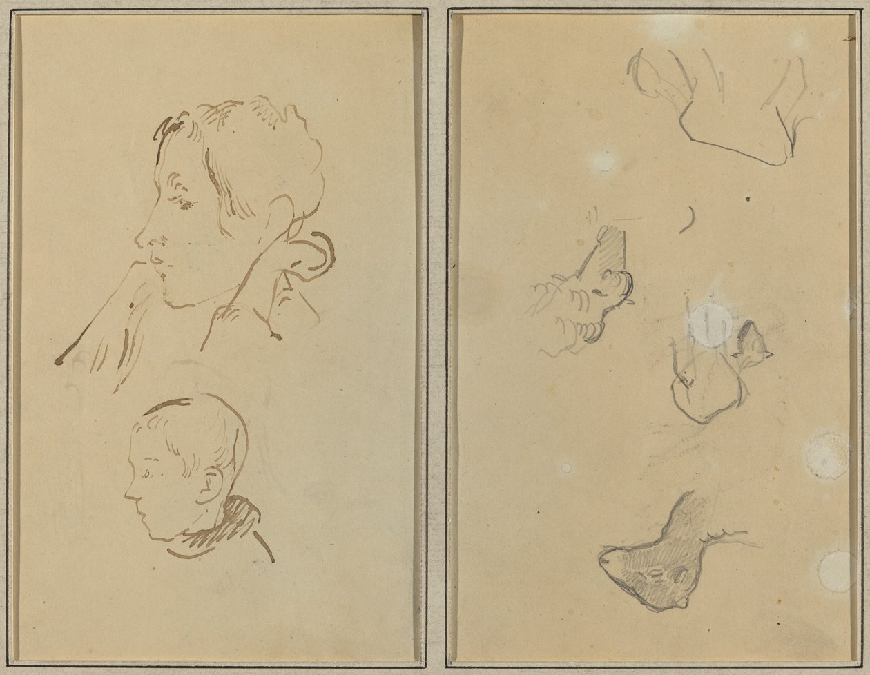Zwei Köpfe; Studien von Schafen [recto] von Paul Gauguin