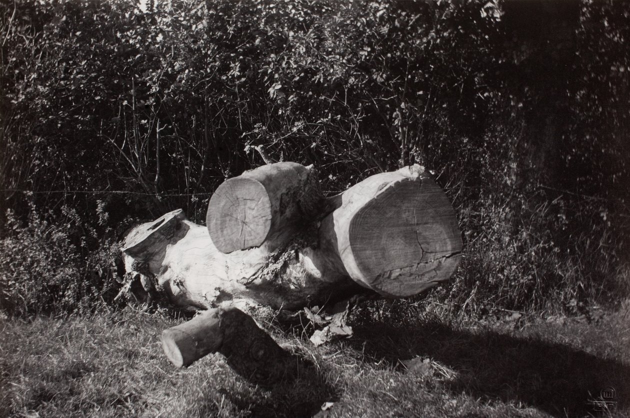 Gefundenes Objekt von Paul Nash