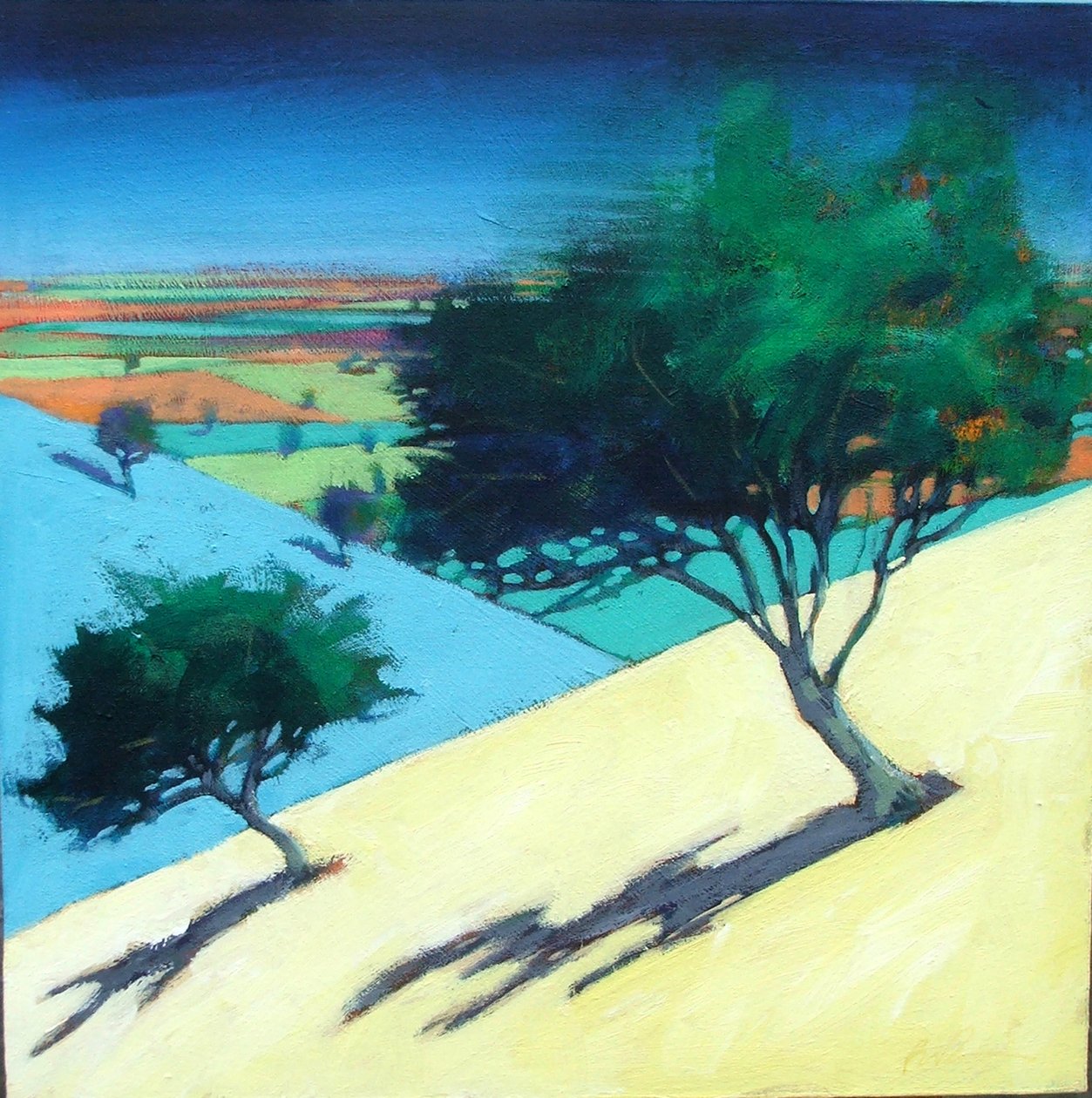 Hügel (Acryl auf Karton) von Paul Powis