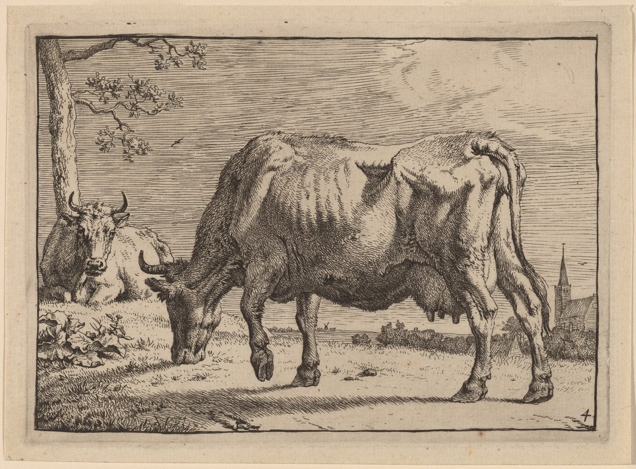 Weidende Kuh von Paulus Potter