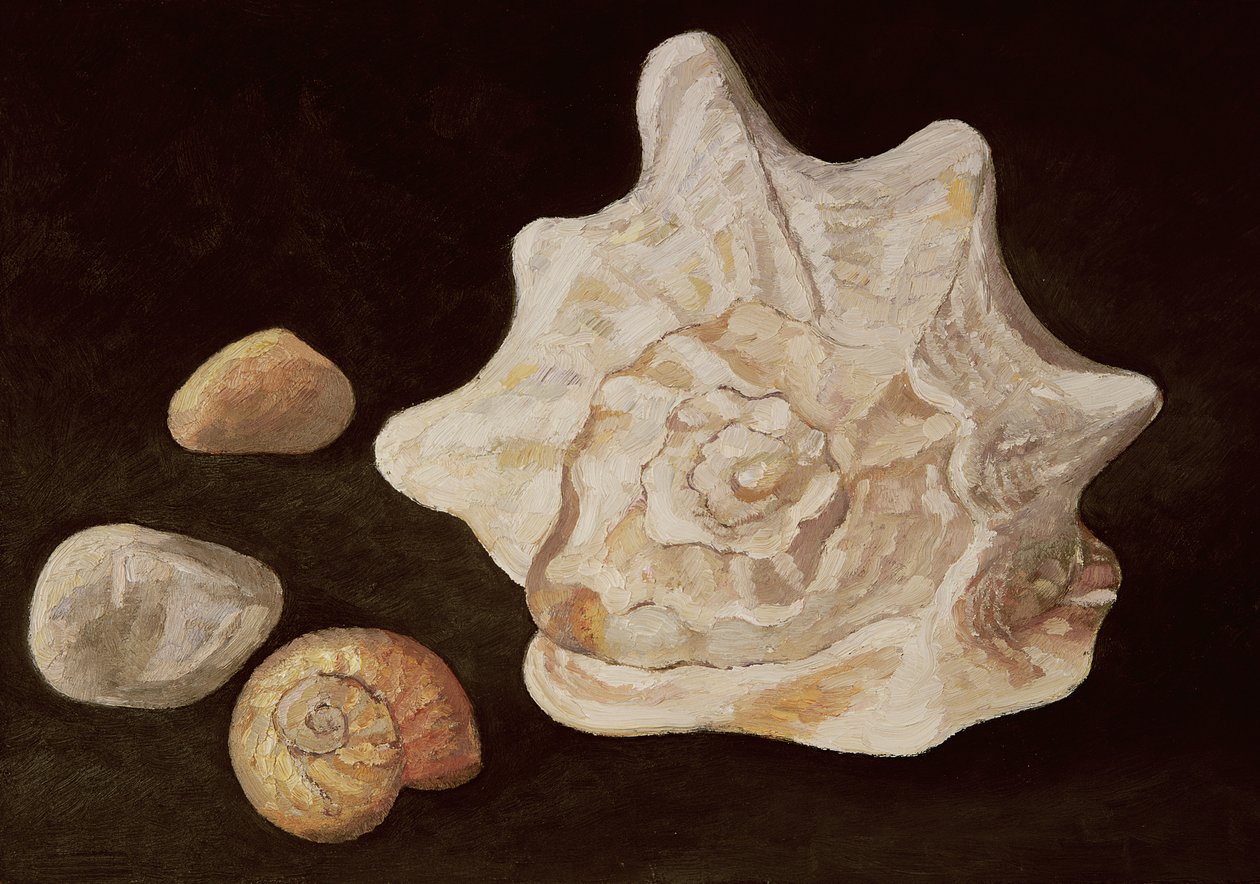 Muschelschale, 1995 von Peter Davidson