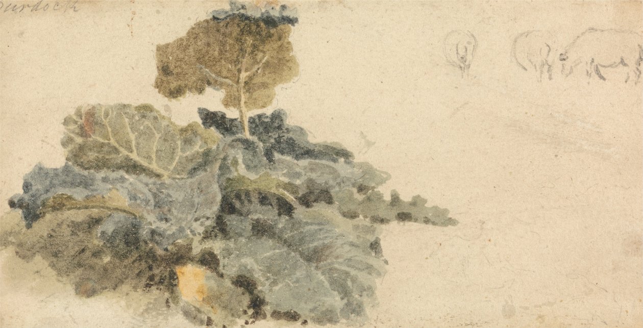 Studie von Kletten von Peter de Wint
