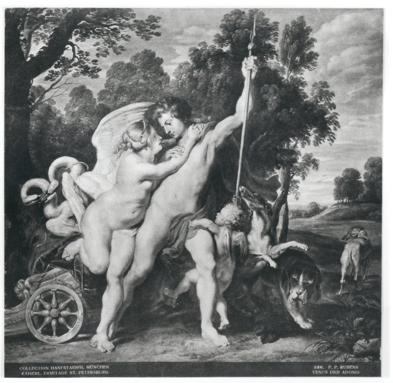 Venus und Adonis von Peter Paul Rubens