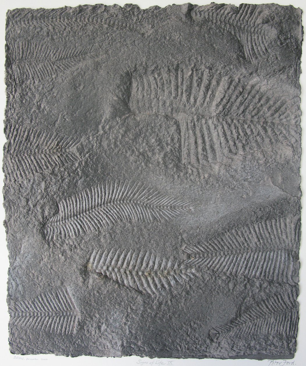 Lebenszeichen XVI von Peter A Ford