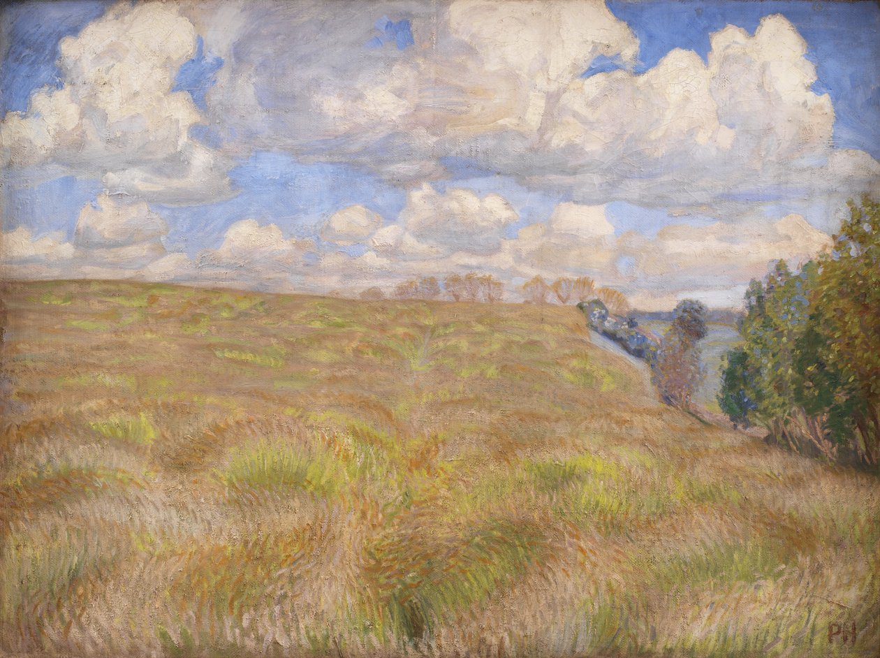 Ein Feld mit wogendem Roggen von Peter Hansen