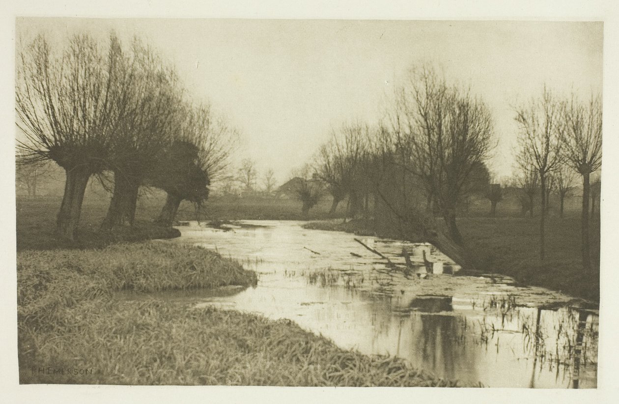Ein Seitenarm der Lea von Peter Henry Emerson