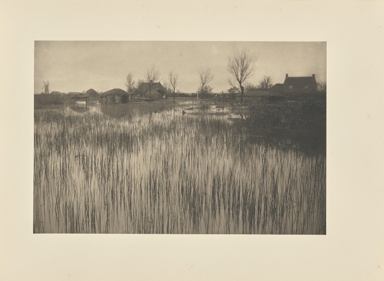 Ein schilfiges Ufer von Peter Henry Emerson
