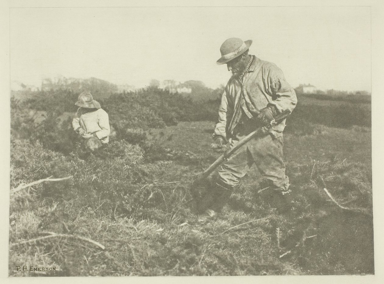 Ginster-Schneiden auf einem Suffolk-Gemeindeplatz von Peter Henry Emerson