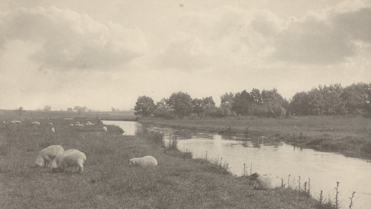 Auf dem Fluss Bure, 1886 von Peter Henry Emerson