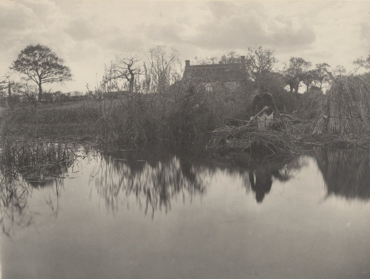 Gladdon quanten, 1886 von Peter Henry Emerson
