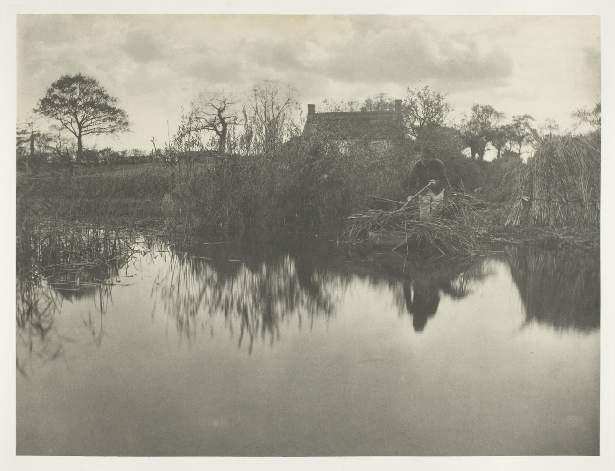 Quanting the Gladdon von Peter Henry Emerson