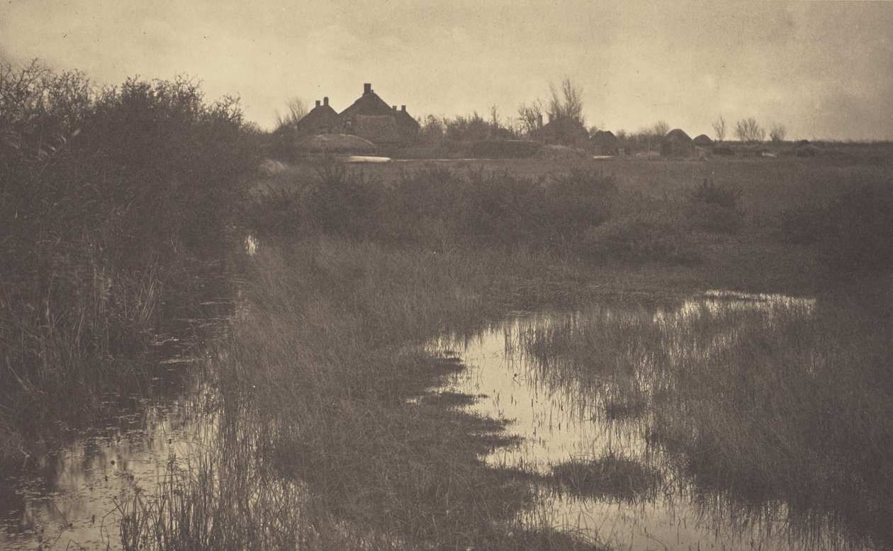 Der Rand des Sumpfes von Peter Henry Emerson