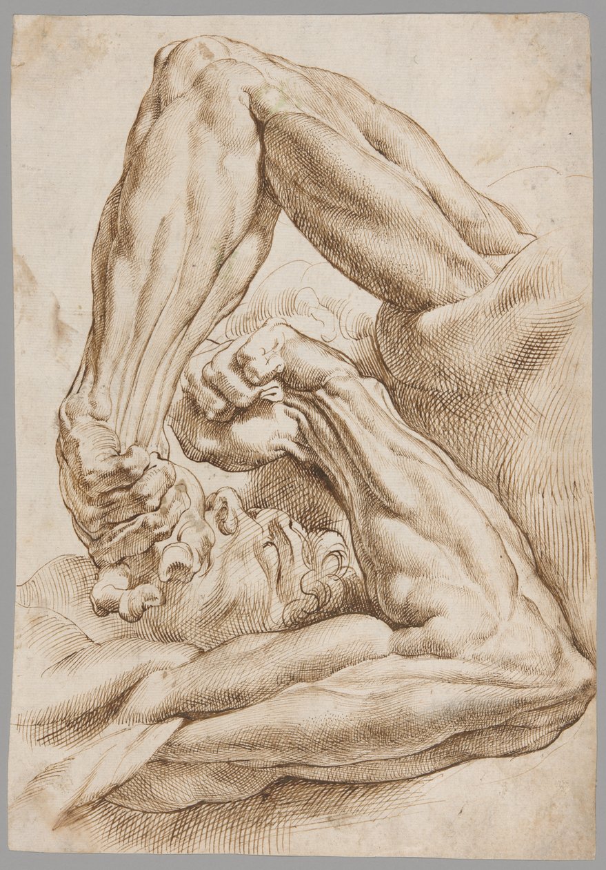 Ein Blatt anatomischer Studien von Peter Paul Rubens