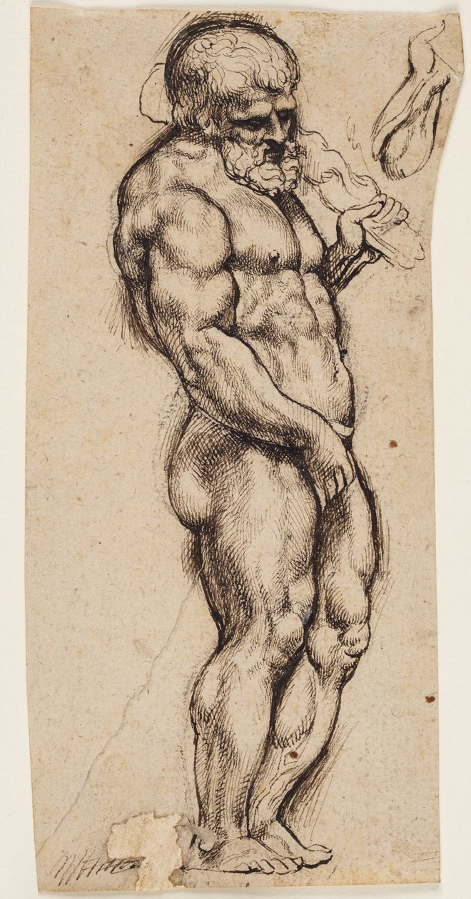Herkules von Peter Paul Rubens