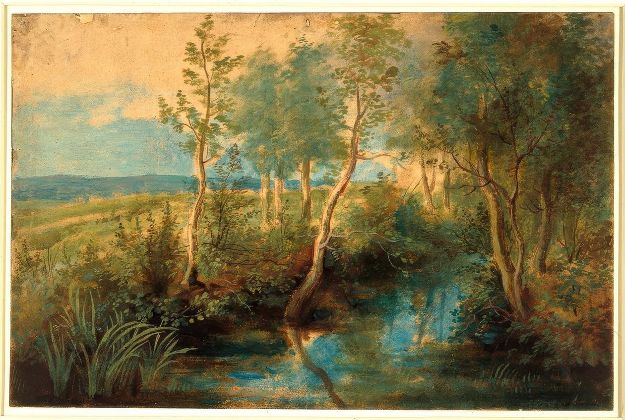 Landschaft mit Bach unter Bäumen von Peter Paul Rubens