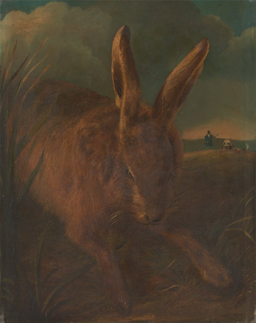 Hasenjagd von Philip Reinagle