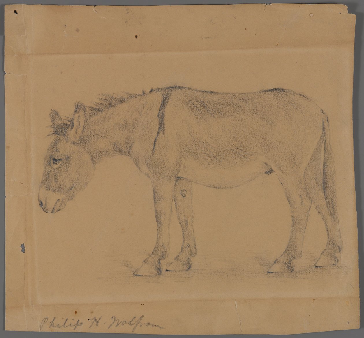 Esel von Philip H. Wolfrom