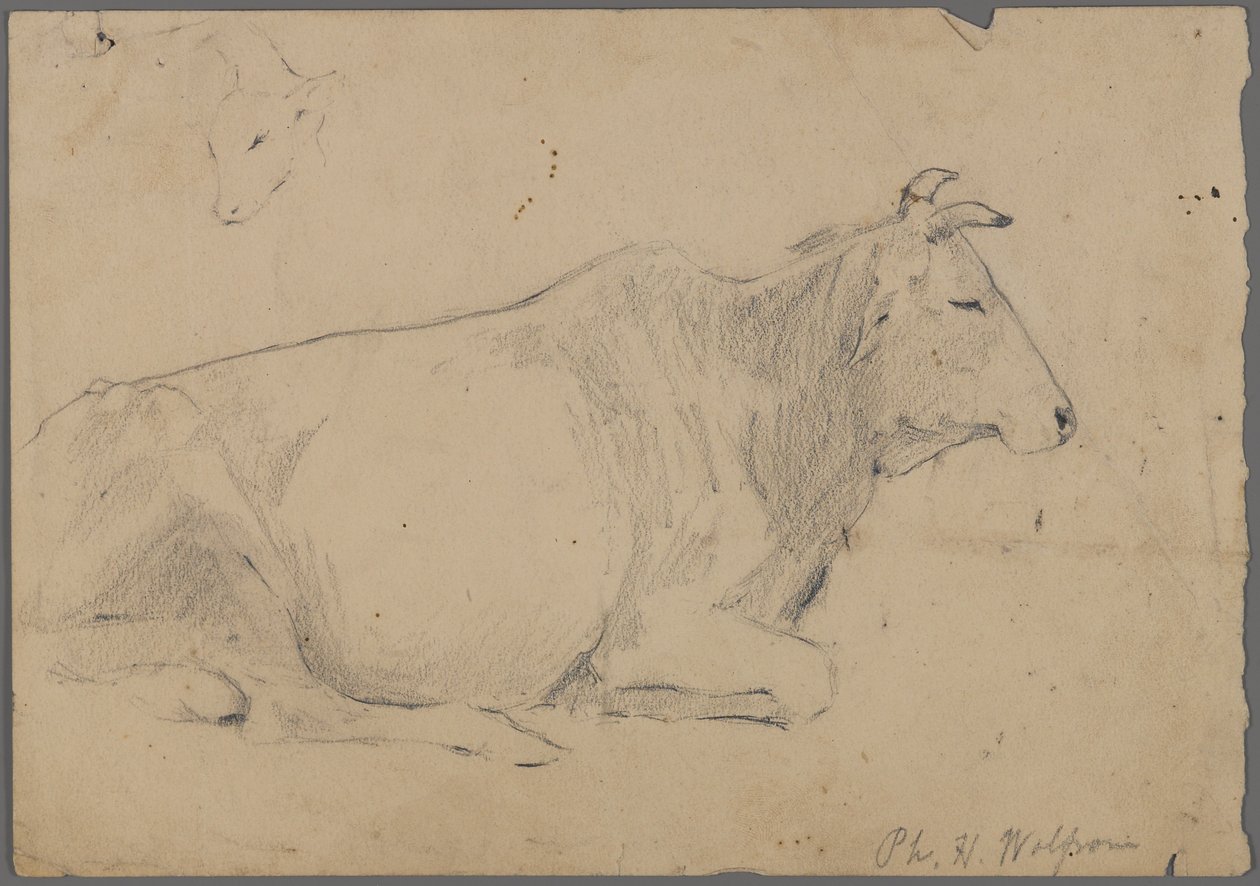 Sitzender Stier von Philip H. Wolfrom