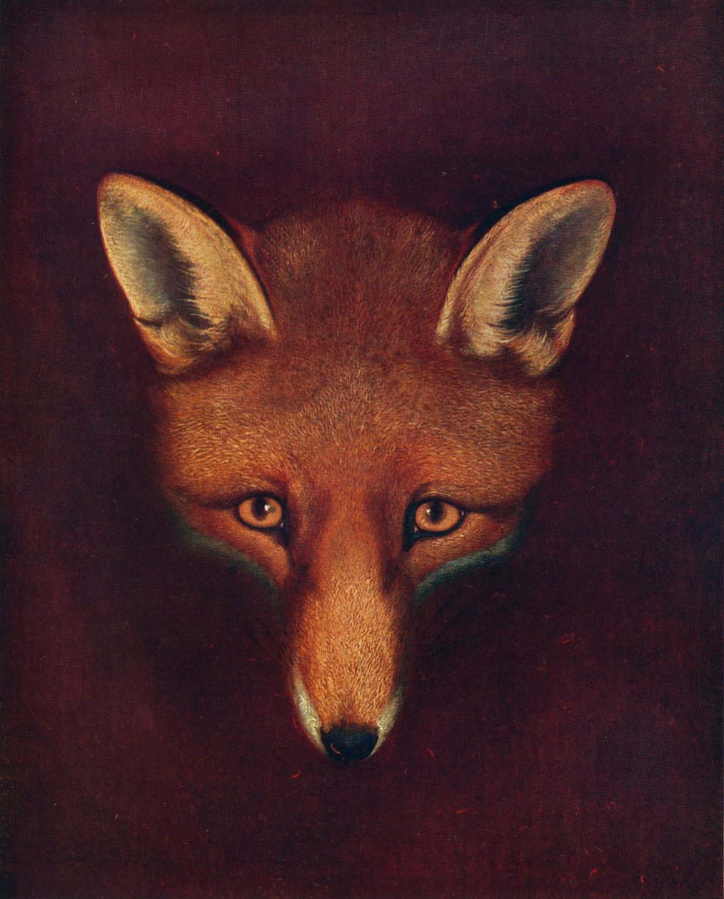 Renard der Fuchs, ca. 1800, 1922 von Philip Reinagle
