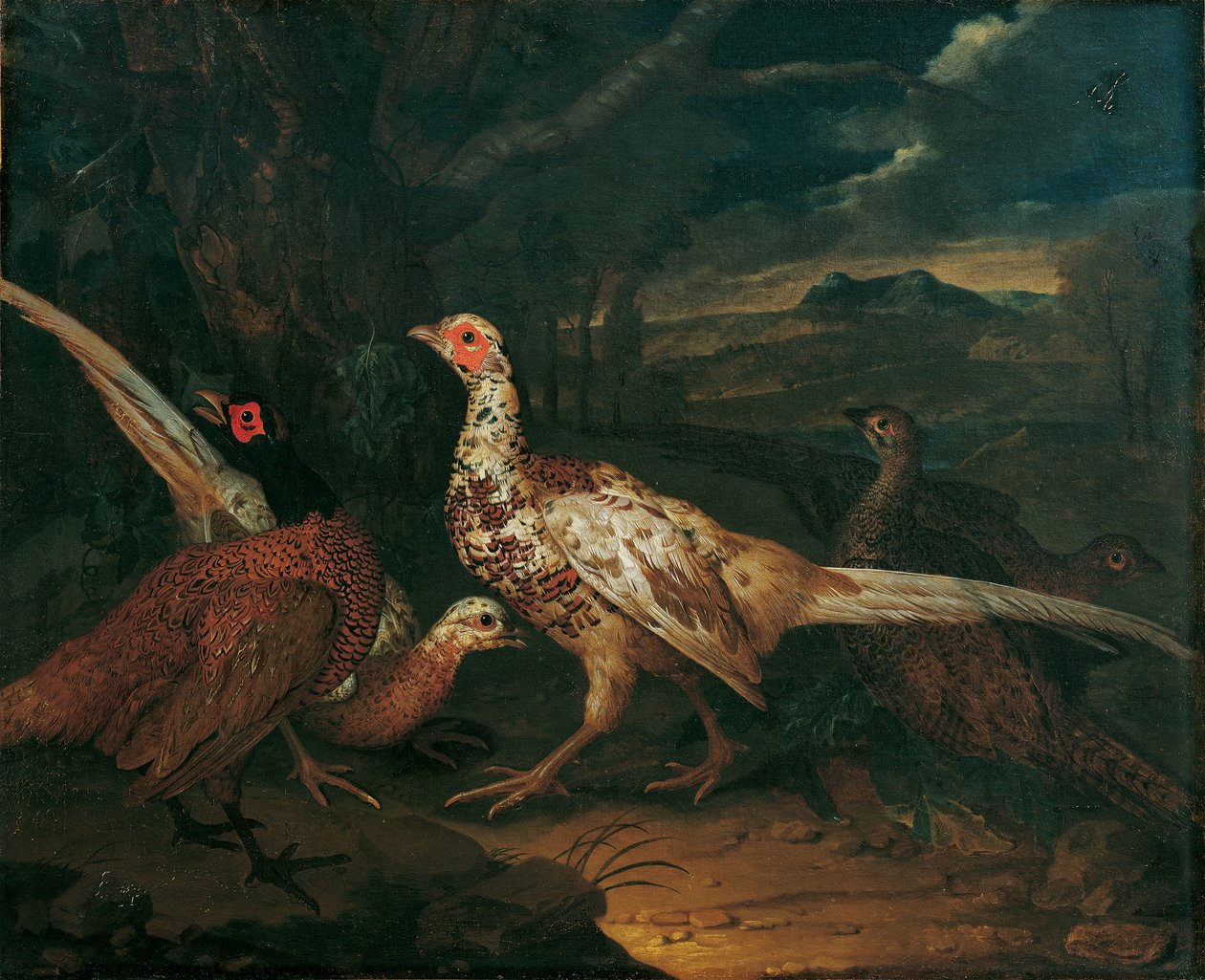 Fasane von Philipp Ferdinand de Hamilton