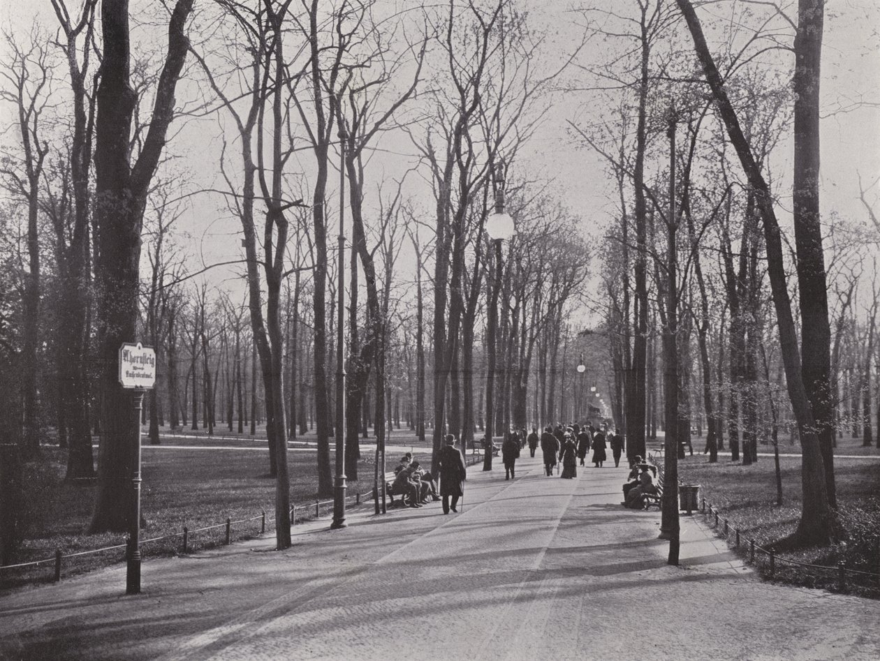 Im Tiergarten, Ahornsteig von Photographer German